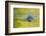 Beaver and Green Reflected Leaf Color, Oxbow Bend, Grand Teton NP, WY-Michael Qualls-Framed Photographic Print