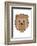 Beaver - Animaru Cartoon Animal Print-Animaru-Framed Giclee Print