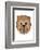 Beaver - Animaru Cartoon Animal Print-Animaru-Framed Giclee Print