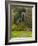 Beaver Brook falls in Colebrook, New Hampshire, USA-Jerry & Marcy Monkman-Framed Photographic Print