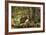 Beaver Closeup in the Forest-null-Framed Art Print