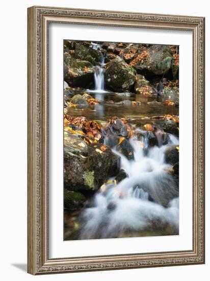 Beaver Creek Cascades, New Hampshire-Vincent James-Framed Premium Photographic Print