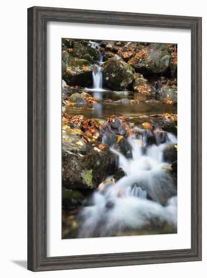 Beaver Creek Cascades, New Hampshire-Vincent James-Framed Premium Photographic Print