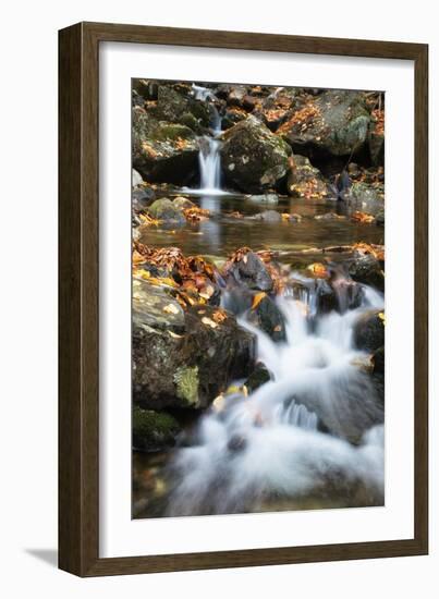 Beaver Creek Cascades, New Hampshire-Vincent James-Framed Premium Photographic Print