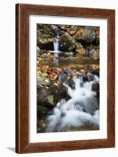 Beaver Creek Cascades, New Hampshire-Vincent James-Framed Premium Photographic Print