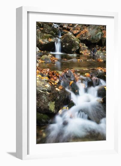 Beaver Creek Cascades, New Hampshire-Vincent James-Framed Premium Photographic Print