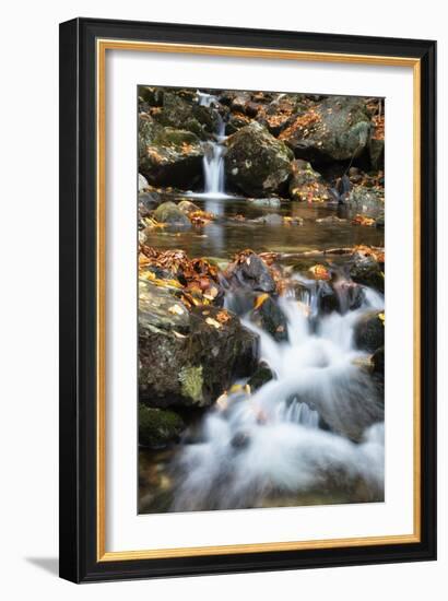 Beaver Creek Cascades, New Hampshire-Vincent James-Framed Premium Photographic Print
