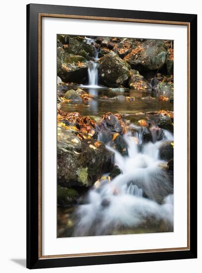 Beaver Creek Cascades, New Hampshire-Vincent James-Framed Photographic Print