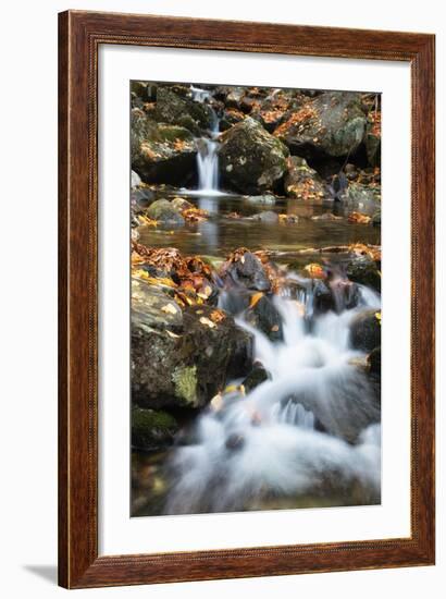 Beaver Creek Cascades, New Hampshire-Vincent James-Framed Photographic Print