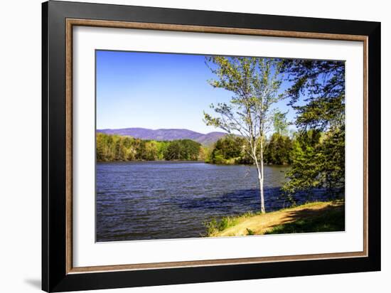 Beaver Creek-Alan Hausenflock-Framed Photographic Print