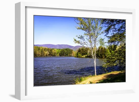 Beaver Creek-Alan Hausenflock-Framed Photographic Print