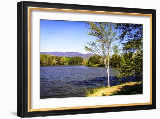 Beaver Creek-Alan Hausenflock-Framed Photographic Print