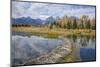 Beaver Dam, Snake River at Schwabacher Landing, Grand Tetons National Park, Wyoming, U.S.A.-Gary Cook-Mounted Photographic Print