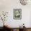 Beaver Family, Mount Hood, Oregon-Lantern Press-Framed Premium Giclee Print displayed on a wall