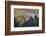 Beaver in Denali National Park-Paul Souders-Framed Photographic Print