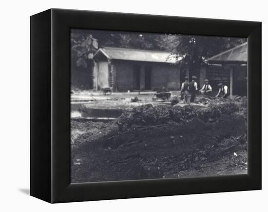 Beaver Lodge with Keepers in Background, London Zoo, July 1916-Frederick William Bond-Framed Premier Image Canvas