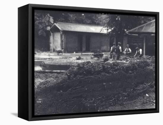 Beaver Lodge with Keepers in Background, London Zoo, July 1916-Frederick William Bond-Framed Premier Image Canvas