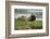 Beaver Pair Resting-Ken Archer-Framed Photographic Print