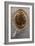 Beaver Pelt Stretched on a Sapling Frame and Laced with Rawhide-null-Framed Giclee Print