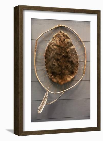 Beaver Pelt Stretched on a Sapling Frame and Laced with Rawhide-null-Framed Giclee Print