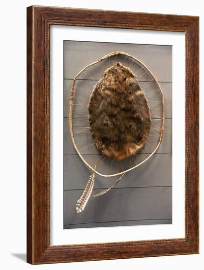 Beaver Pelt Stretched on a Sapling Frame and Laced with Rawhide-null-Framed Giclee Print