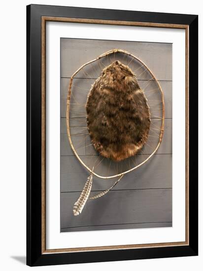 Beaver Pelt Stretched on a Sapling Frame and Laced with Rawhide-null-Framed Giclee Print