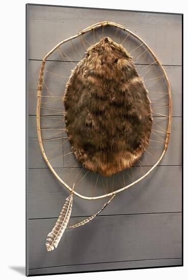 Beaver Pelt Stretched on a Sapling Frame and Laced with Rawhide-null-Mounted Giclee Print