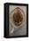 Beaver Pelt Stretched on a Sapling Frame and Laced with Rawhide-null-Framed Premier Image Canvas