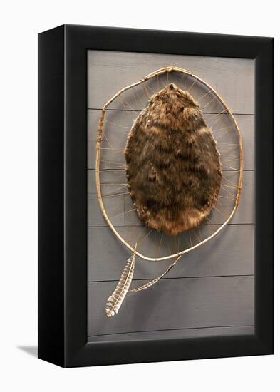 Beaver Pelt Stretched on a Sapling Frame and Laced with Rawhide-null-Framed Premier Image Canvas