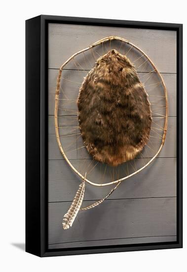 Beaver Pelt Stretched on a Sapling Frame and Laced with Rawhide-null-Framed Premier Image Canvas