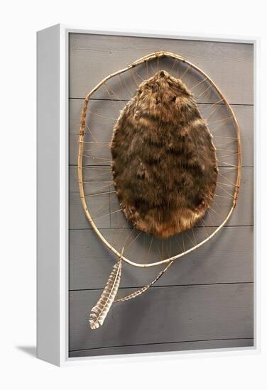 Beaver Pelt Stretched on a Sapling Frame and Laced with Rawhide-null-Framed Premier Image Canvas
