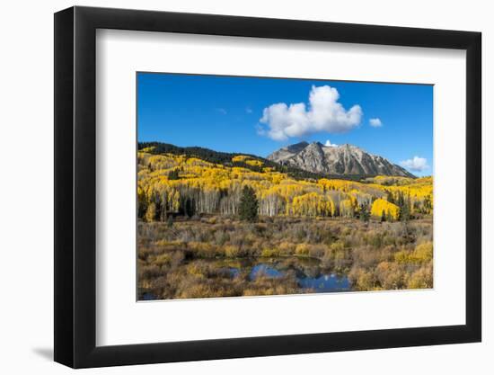 Beaver pond and Fall foliage and Aspen trees at their peak, near Crested Butte, Colorado-Howie Garber-Framed Photographic Print