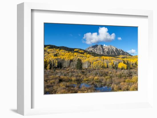 Beaver pond and Fall foliage and Aspen trees at their peak, near Crested Butte, Colorado-Howie Garber-Framed Photographic Print