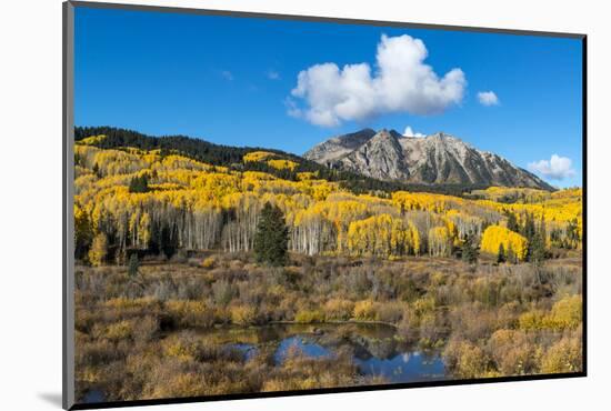 Beaver pond and Fall foliage and Aspen trees at their peak, near Crested Butte, Colorado-Howie Garber-Mounted Photographic Print