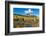 Beaver pond and Fall foliage and Aspen trees at their peak, near Crested Butte, Colorado-Howie Garber-Framed Photographic Print