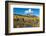 Beaver pond and Fall foliage and Aspen trees at their peak, near Crested Butte, Colorado-Howie Garber-Framed Photographic Print