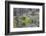 Beaver Pond, Dam and House-Ken Archer-Framed Photographic Print