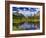 Beaver Pond in Two Medicine Valley, Glacier National Park, Montana, Usa-Chuck Haney-Framed Photographic Print