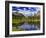 Beaver Pond in Two Medicine Valley, Glacier National Park, Montana, Usa-Chuck Haney-Framed Photographic Print