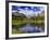 Beaver Pond in Two Medicine Valley, Glacier National Park, Montana, Usa-Chuck Haney-Framed Photographic Print