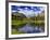 Beaver Pond in Two Medicine Valley, Glacier National Park, Montana, Usa-Chuck Haney-Framed Photographic Print