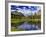 Beaver Pond in Two Medicine Valley, Glacier National Park, Montana, Usa-Chuck Haney-Framed Photographic Print