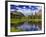 Beaver Pond in Two Medicine Valley, Glacier National Park, Montana, Usa-Chuck Haney-Framed Photographic Print