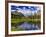 Beaver Pond in Two Medicine Valley, Glacier National Park, Montana, Usa-Chuck Haney-Framed Photographic Print