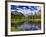 Beaver Pond in Two Medicine Valley, Glacier National Park, Montana, Usa-Chuck Haney-Framed Photographic Print