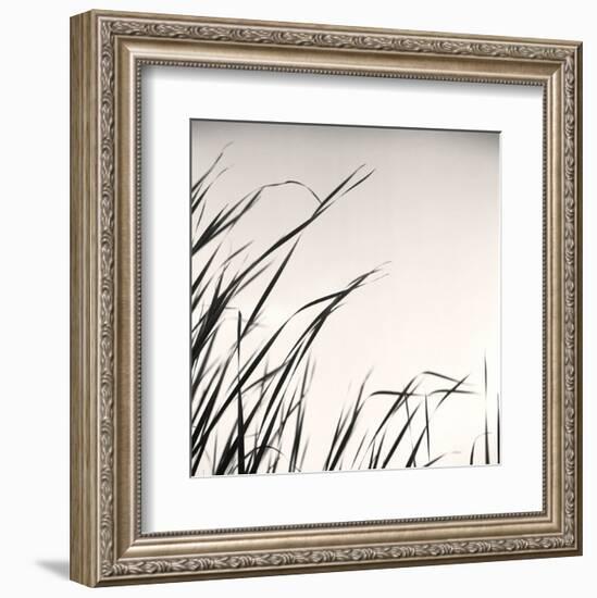 Beaver Pond, Study #1-Andrew Ren-Framed Art Print