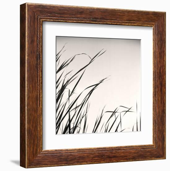 Beaver Pond, Study #1-Andrew Ren-Framed Art Print