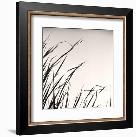 Beaver Pond, Study #1-Andrew Ren-Framed Art Print