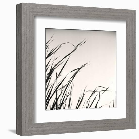 Beaver Pond, Study #1-Andrew Ren-Framed Art Print