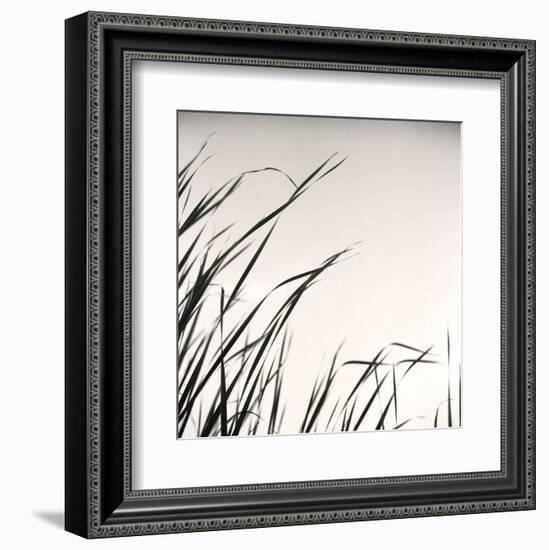 Beaver Pond, Study #1-Andrew Ren-Framed Art Print